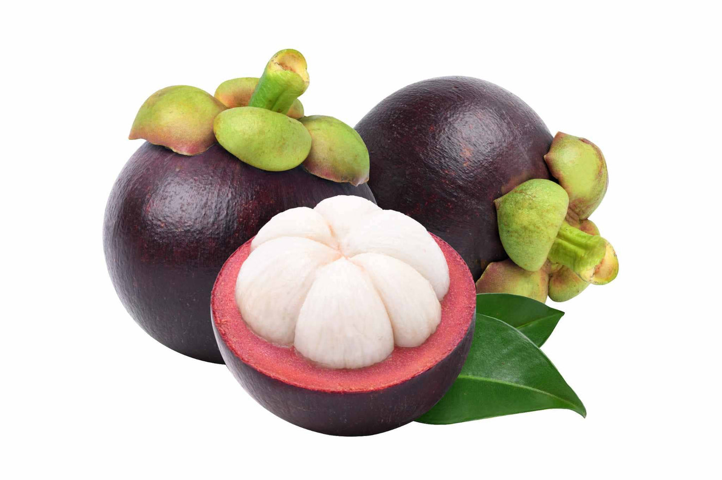 Pure Mangosteen Crisps – Pure Fruit, Naturally Sweet, No Added Sugar