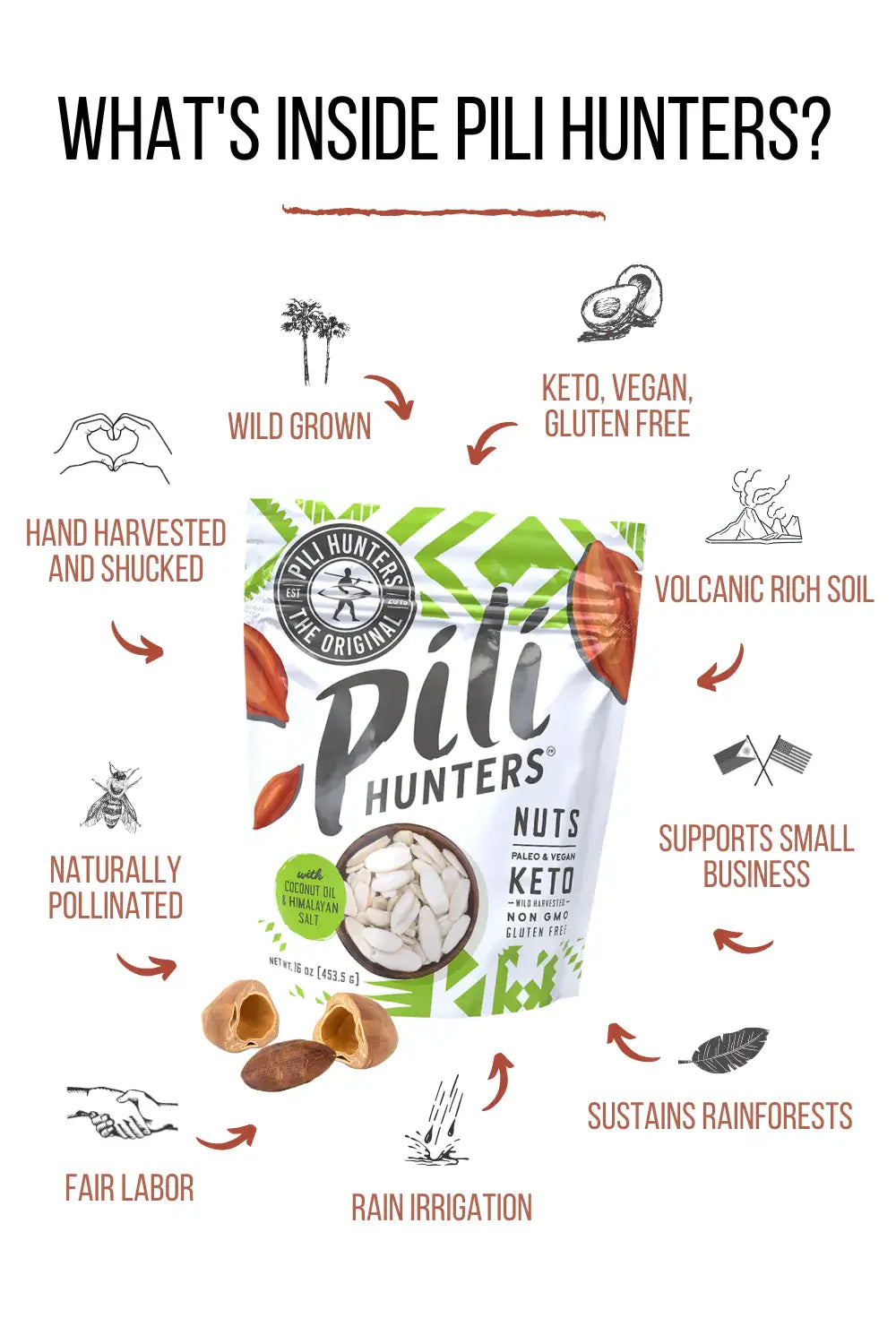 Pili Hunters Coconut Oil & Himalayan Salt Pili Nuts (1.85oz) - Superfood Snack