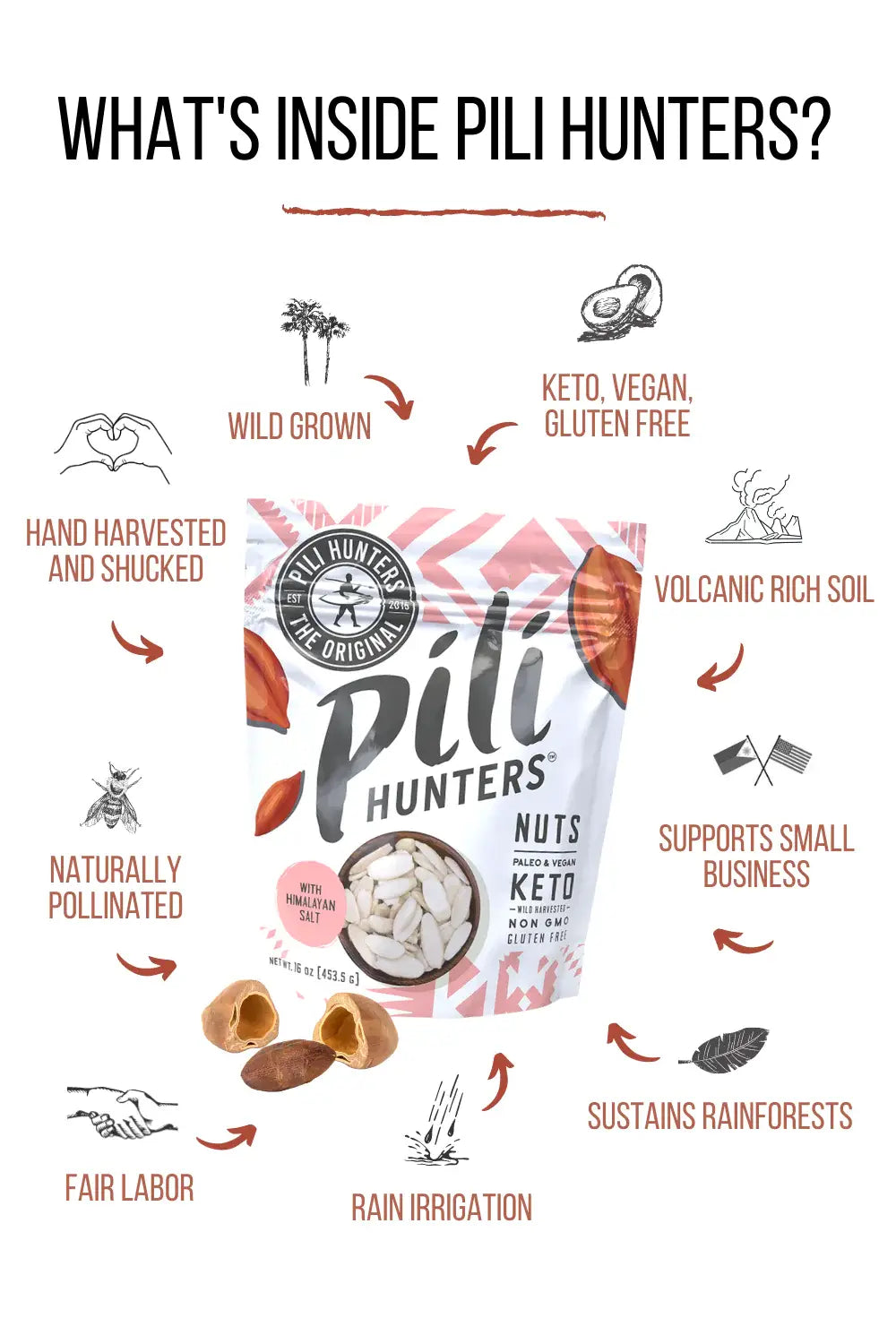 Pili Hunters Pink Himalayan Salt Pili Nuts (1.85oz) - Superfood Snacks