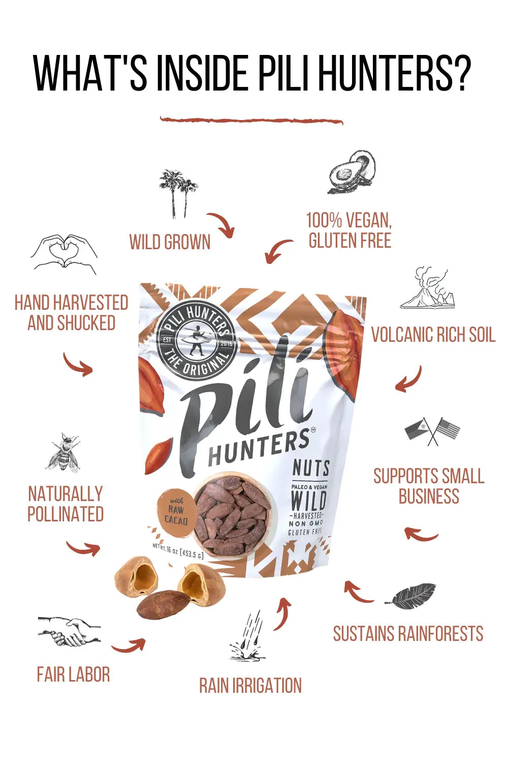 Pili Hunters Raw Cacao Pili Nuts 1.85 oz – Superfood Snack