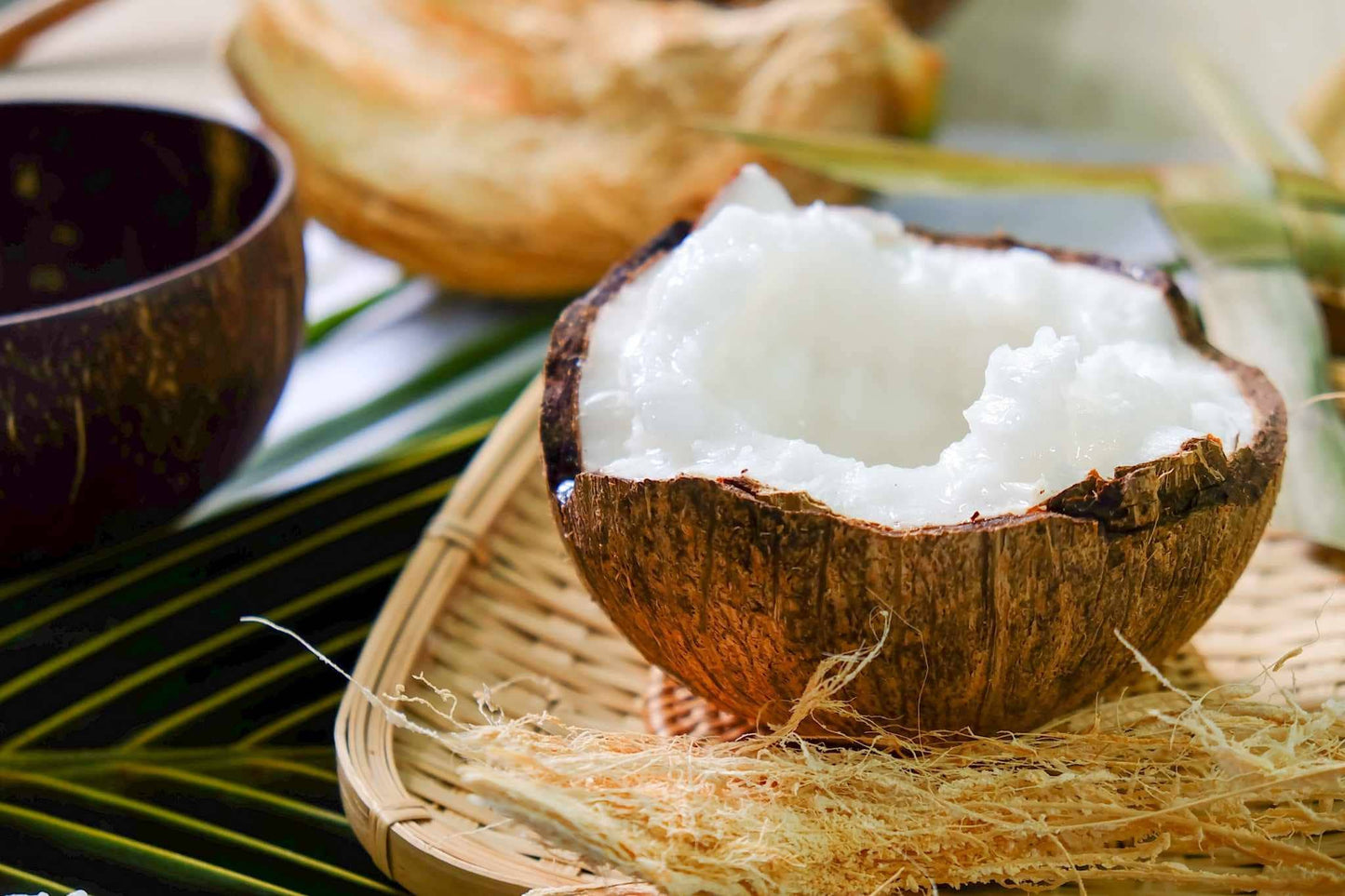 Macapuno Coconut Yogurt Snack Cubes - Freeze‑Dried & Delicious